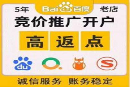 行业领先企业的SEM广告投放策略案例